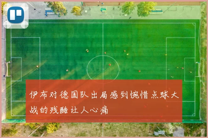 伊布对德国队出局感到惋惜点球大战的残酷让人心痛
